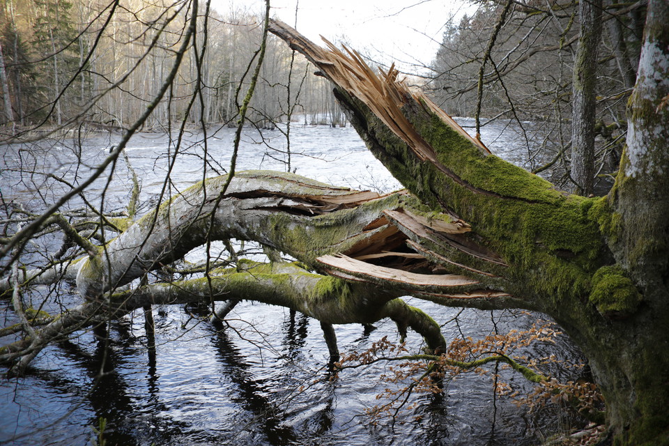 Käringahejans Naturreservat.