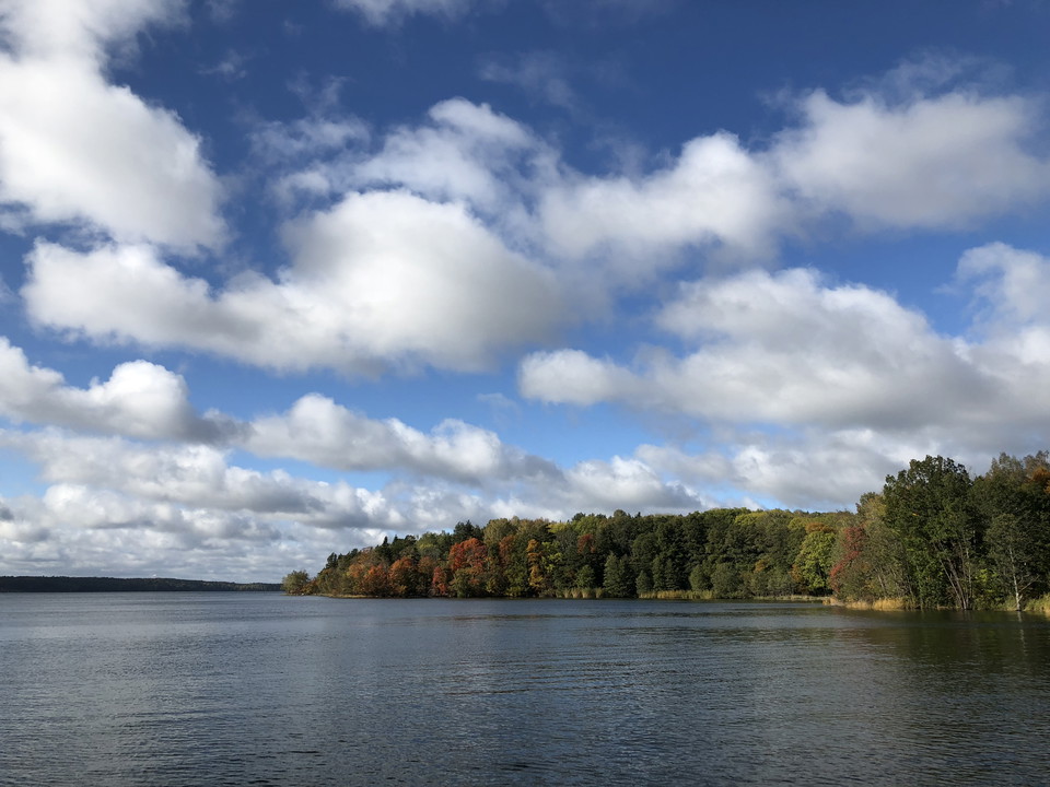 Vy med lövträd och vatten.