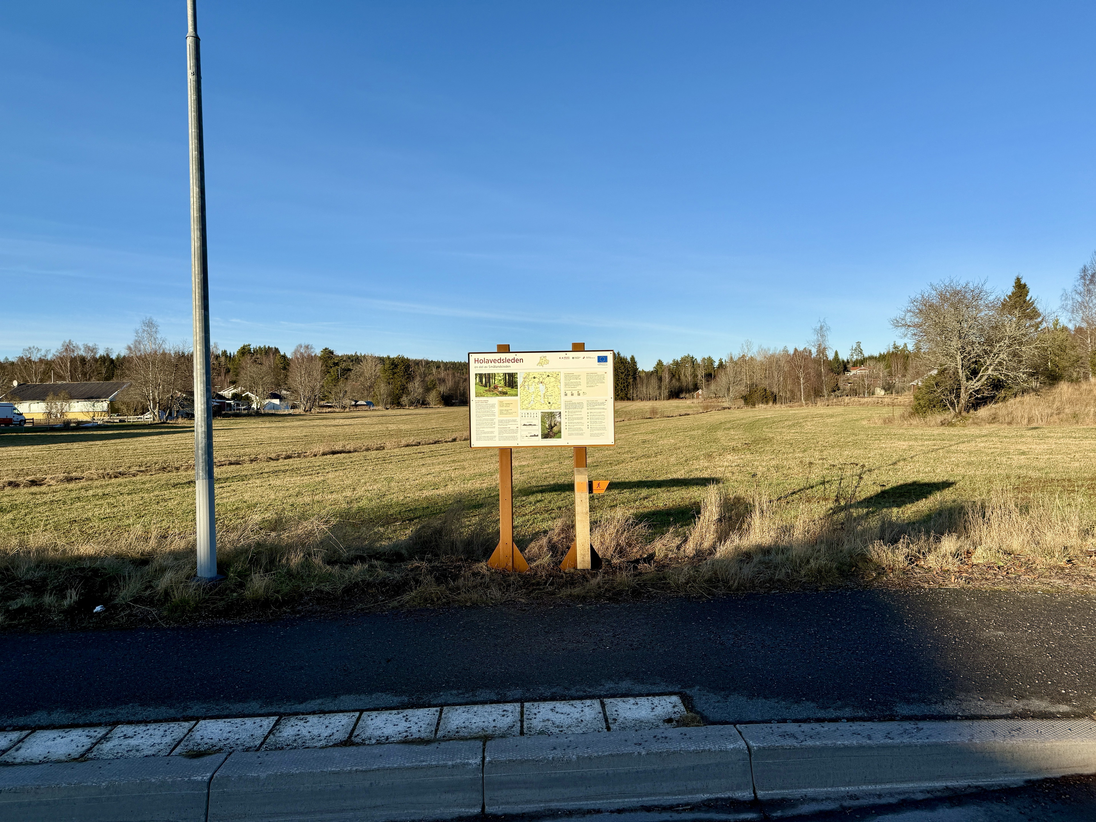 Örserum C, Ledentré HO1/HO2/A1