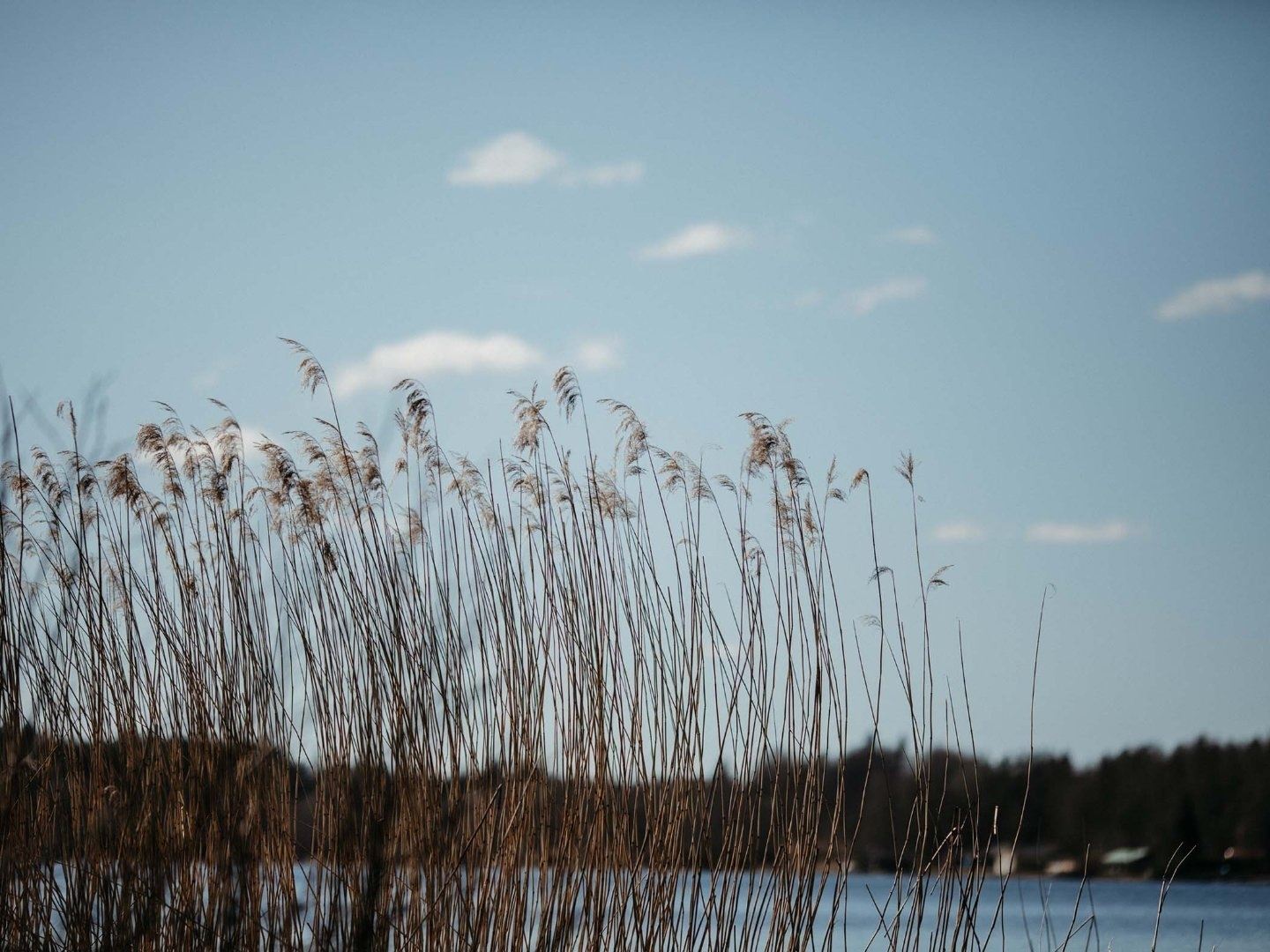   STF Stiftsgården Tallnäs