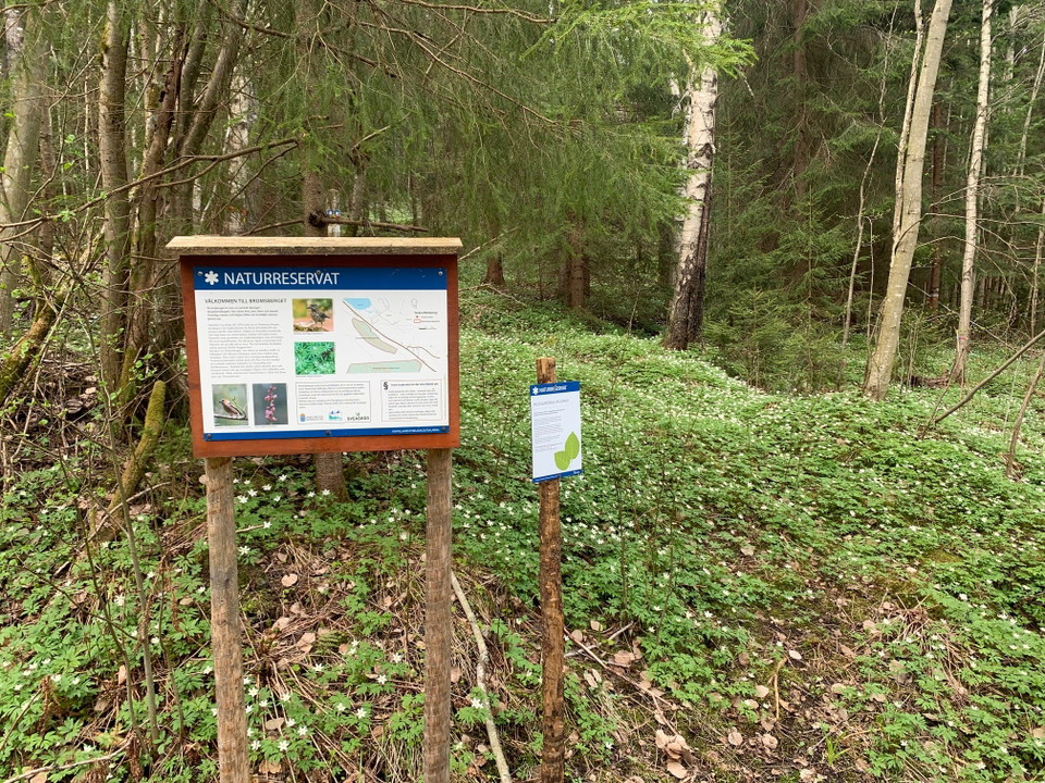 Stig in i naturreservatet