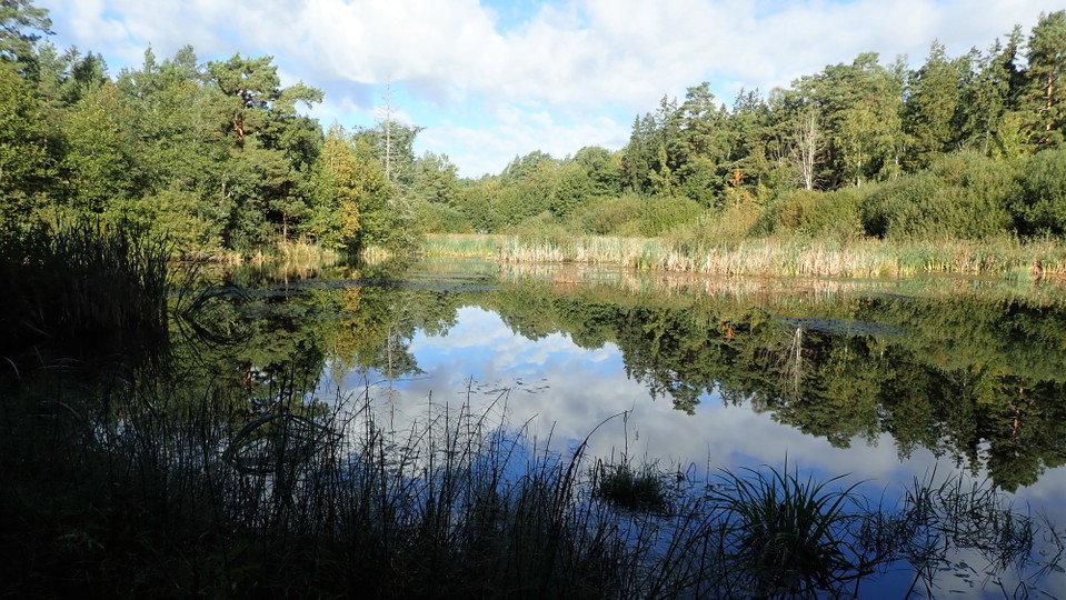 Mulletjärnen från sydöst. Fotot Lidingö stad.