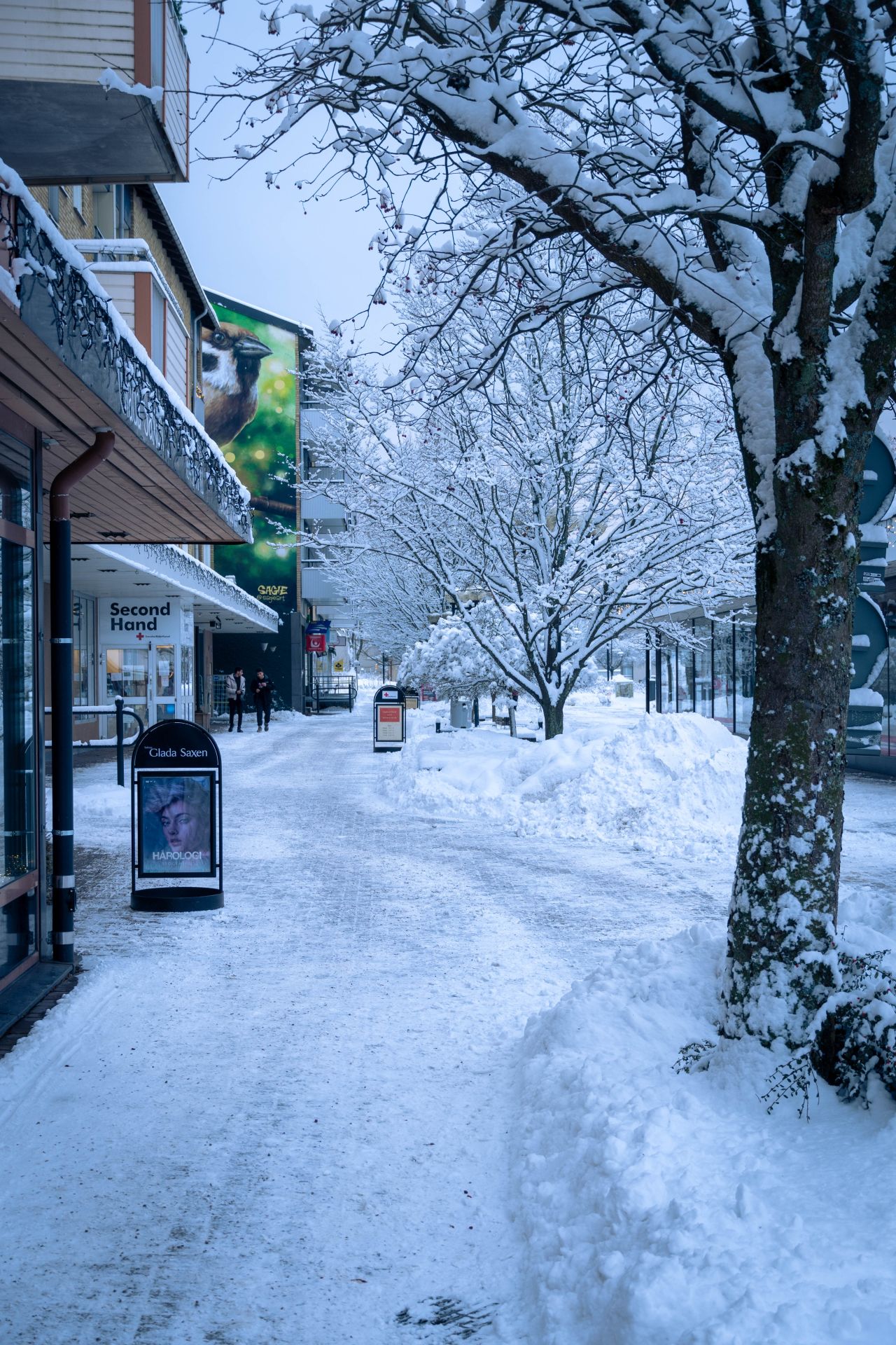 Gatukonst
