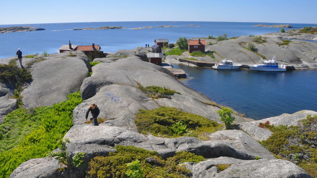 Utsiktsplats, Sprickopp