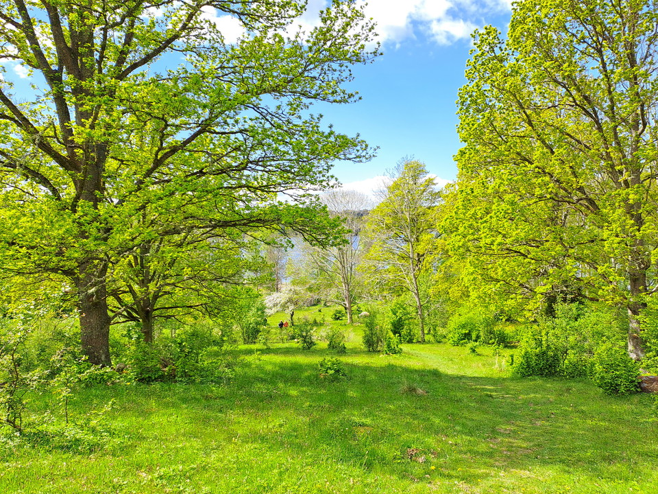 Björkenäs – Peace and quiet among oak trees and pastures
