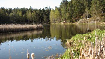 Sportfiskekortet, Råcksta träsk