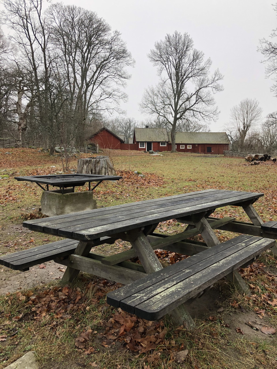 Höst på entréplatsen.