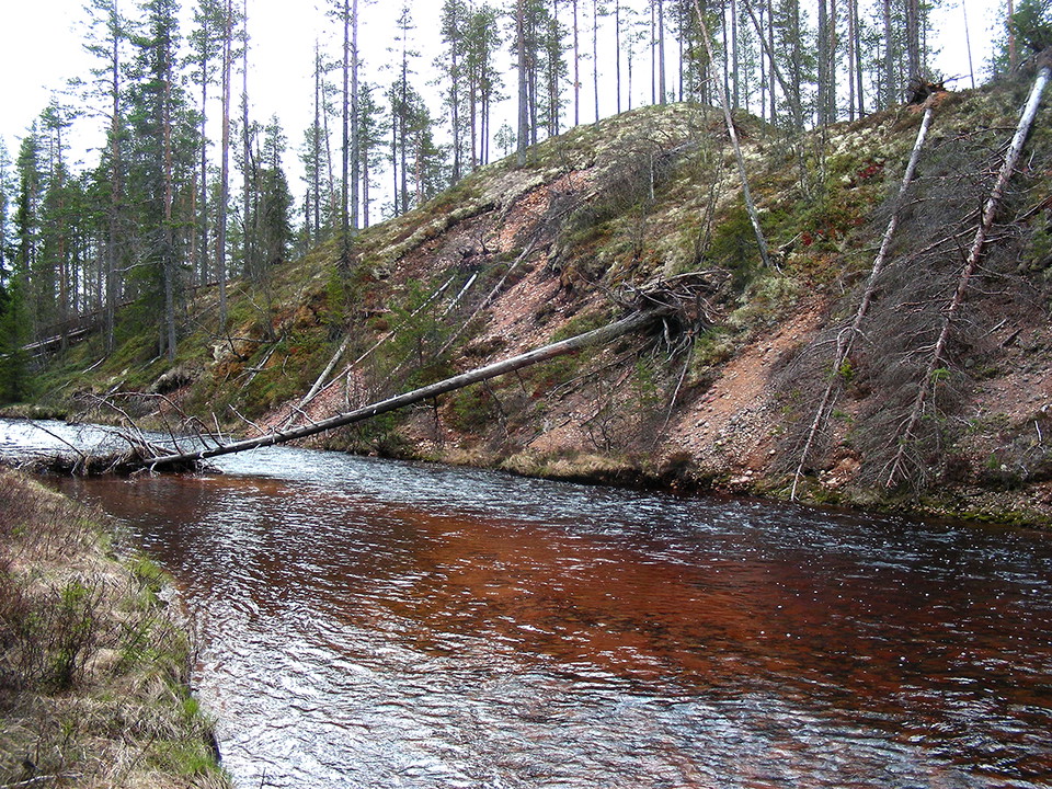 Den meandrande Gönan formar landskapet