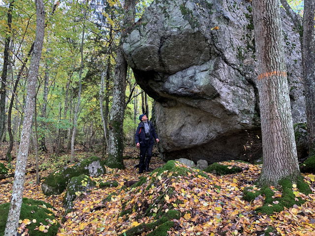 Vandringsstig, Hasselhorn