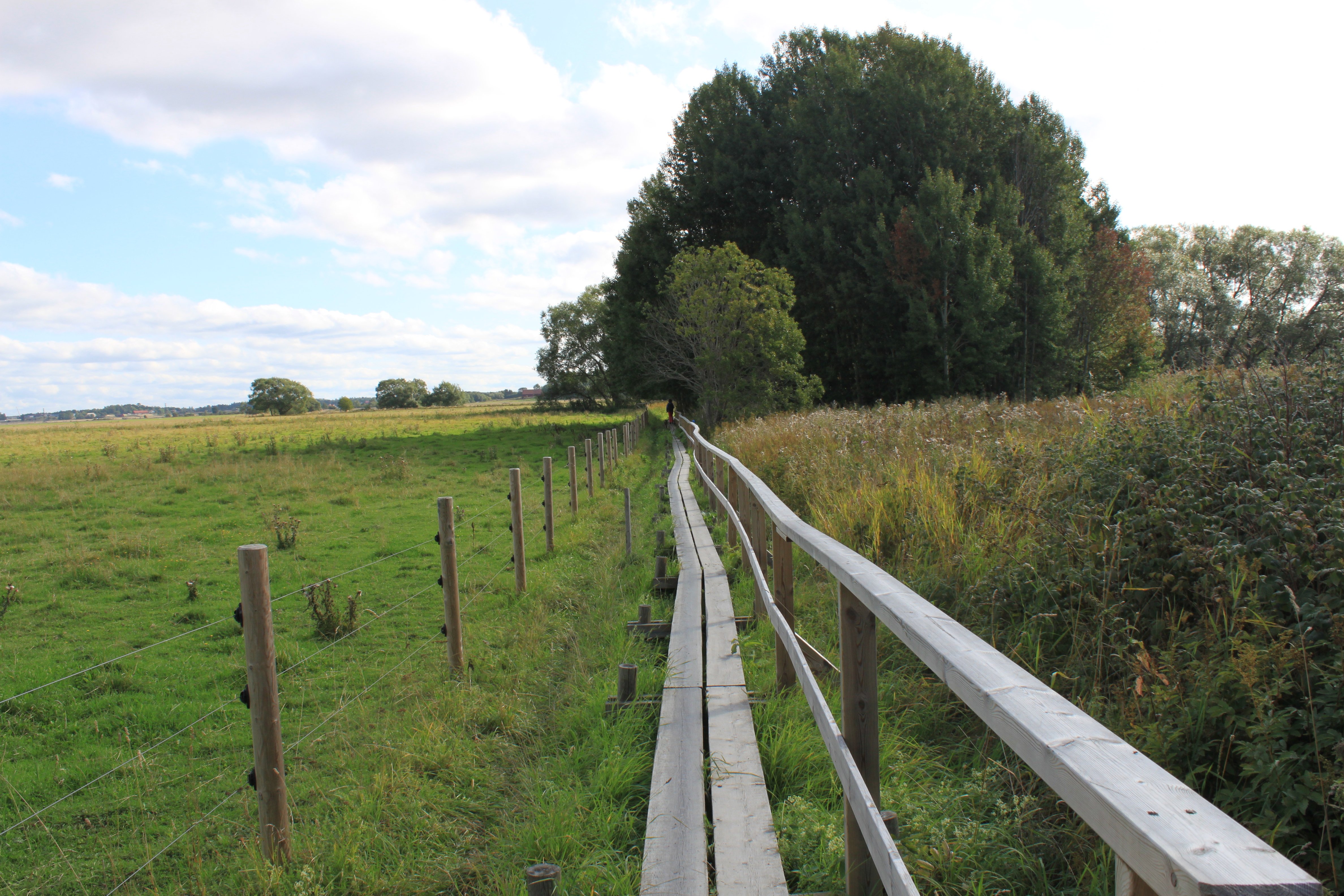 En smal träspång med handräcke på ena sidan går längs med ett staket. På andra sidan staketet är det en gräshage.