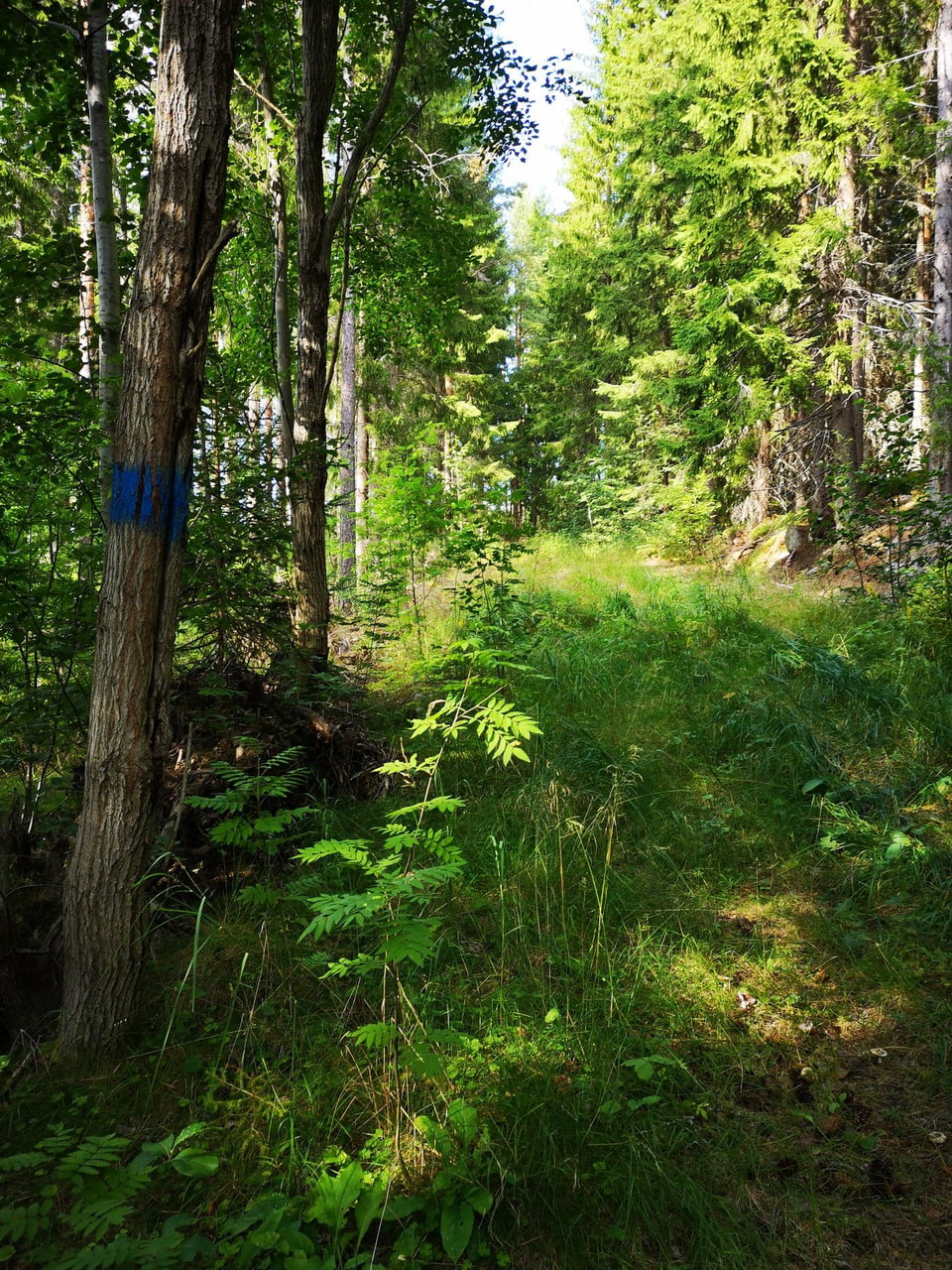 Anslutningsleder är blå