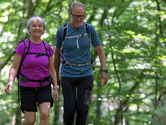 Skåneleden, Brösarp - Maglehem