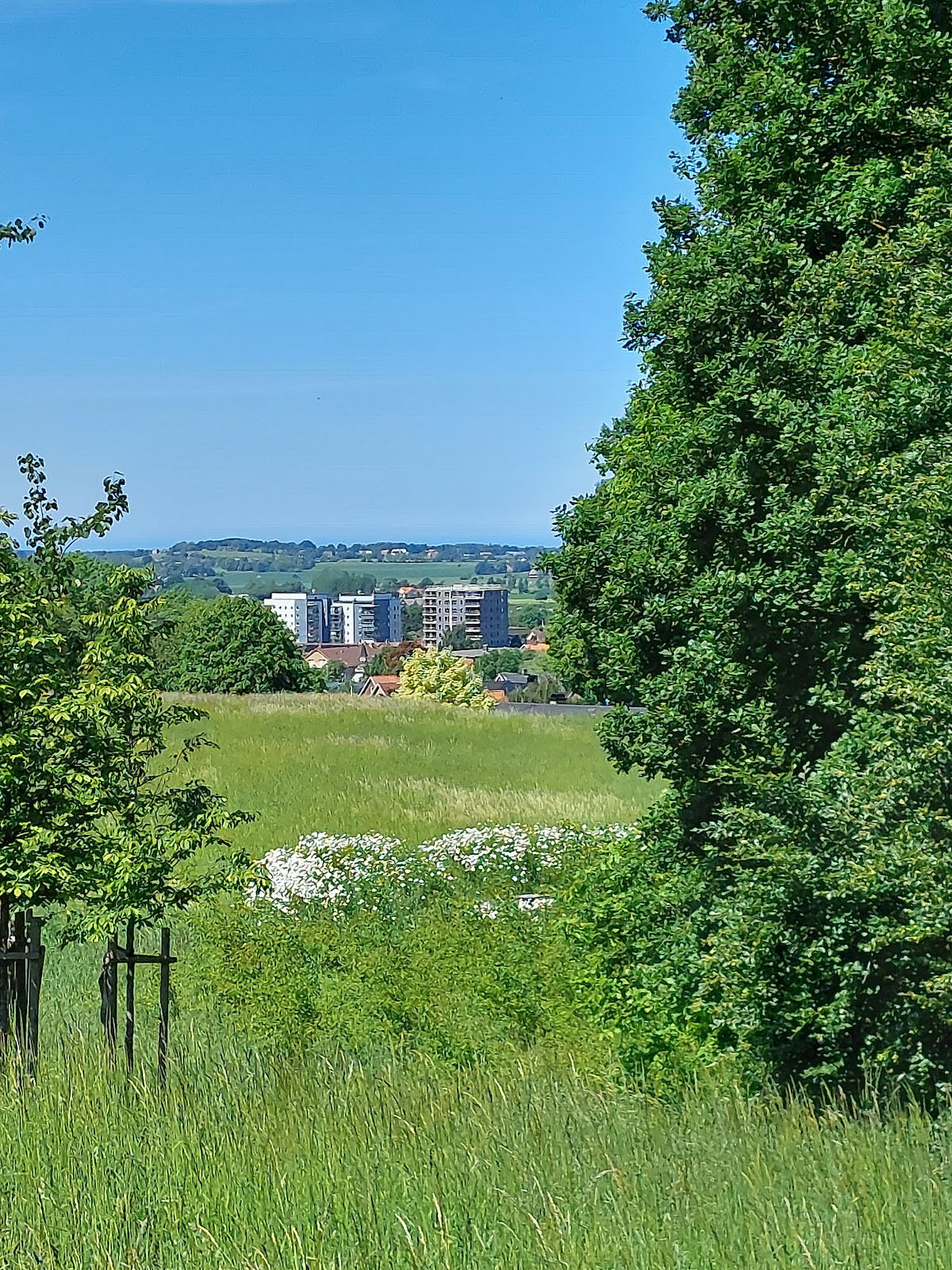 Kalvahagen naturreservat, Åstorp