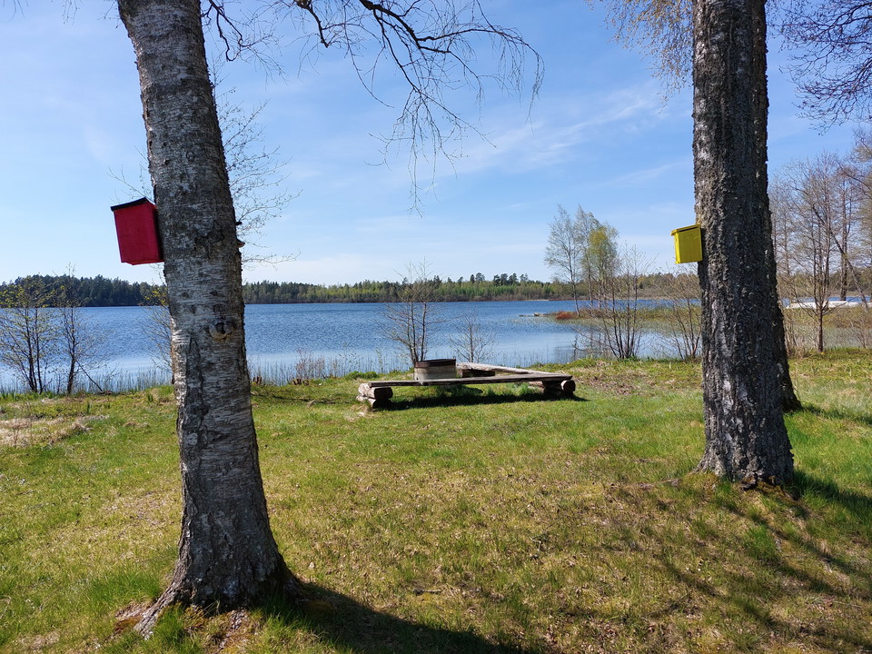 Grillplats med sjöutsikt