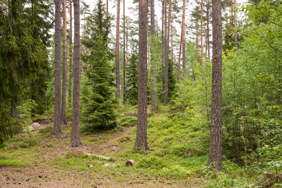 Fotograf: Tobias Ivarsson