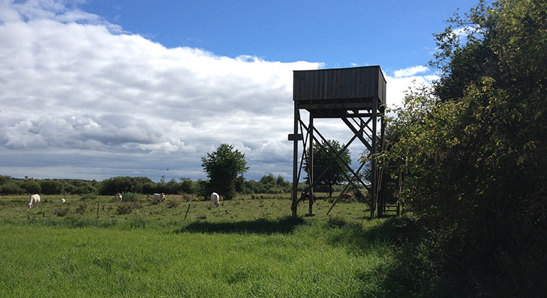 Fågeltornet på Åby ängar.