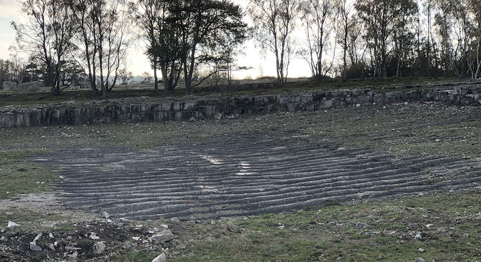 Böljeslagsmärken (förstenad havssandbotten).