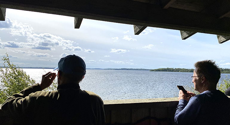 Utsikt från fågeltornet vid Ringsjön.