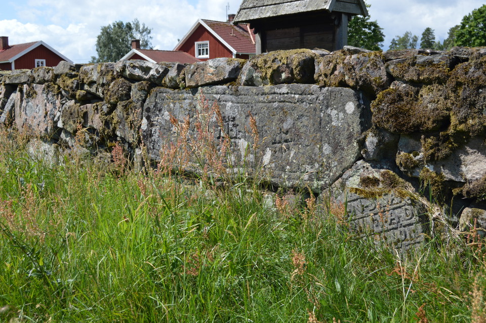 Alma Skog
