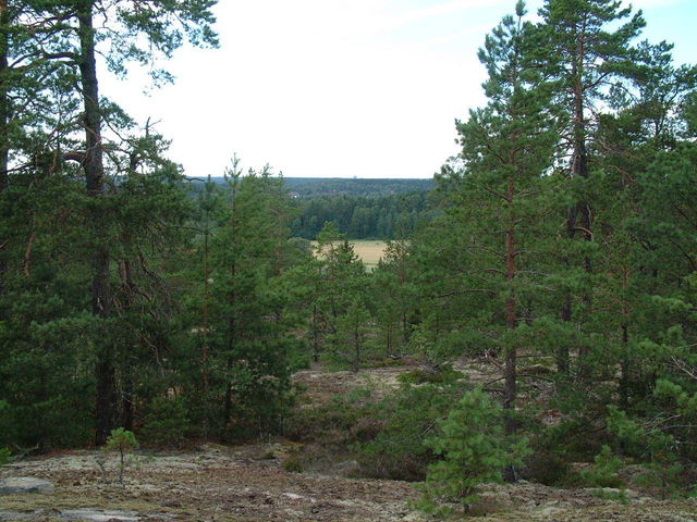 Grön entré Gullsjön