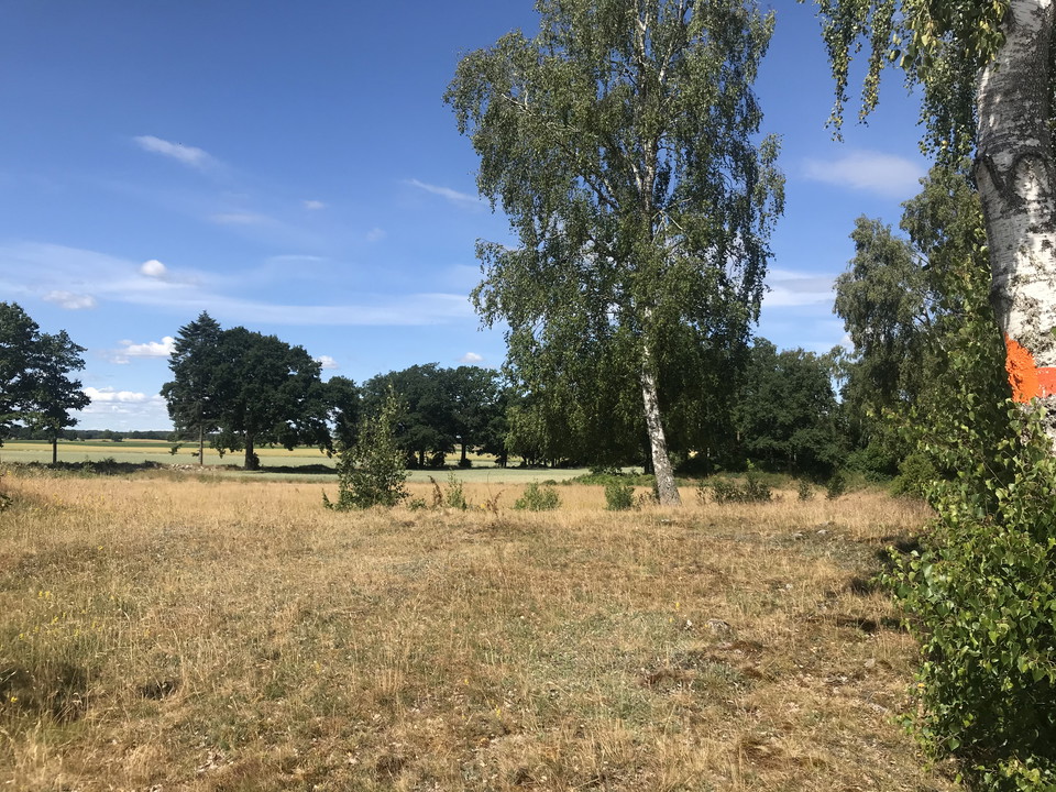 Bjursnäs