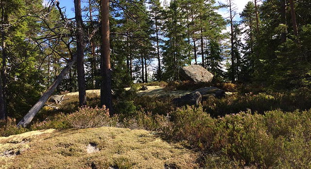 Lobergshöjden, Naturreservat