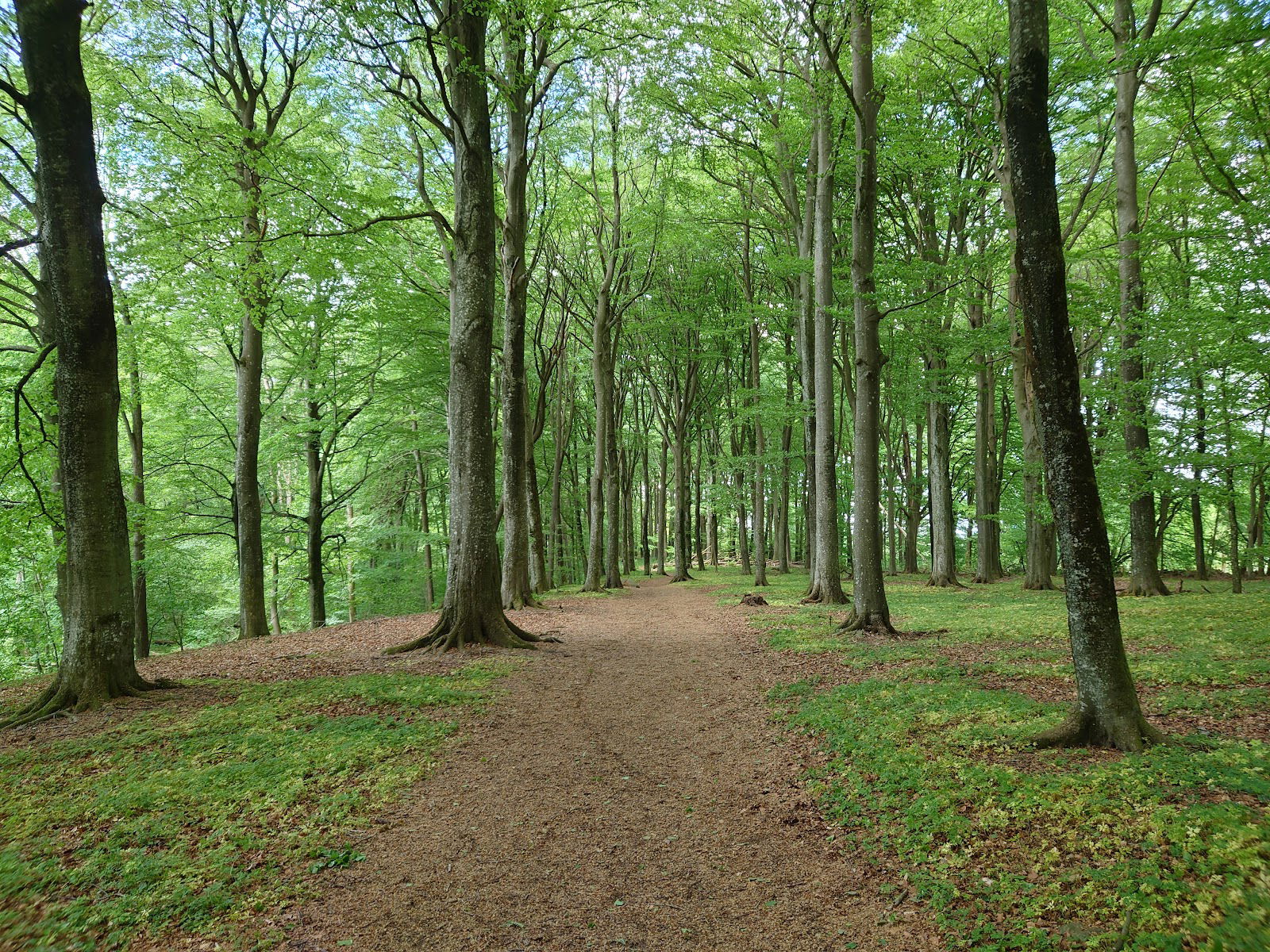 Stigsystem Rövarekulan, Höör