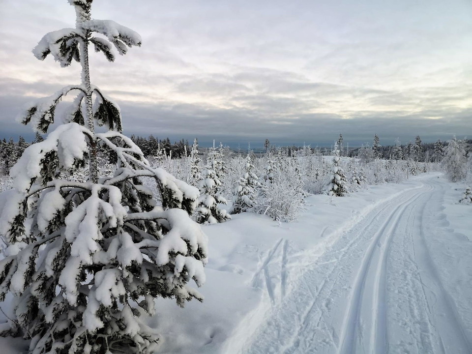 Skidspår i Harsa