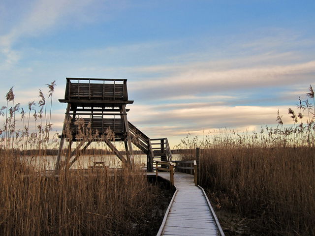 Fågeltorn, Fysingen