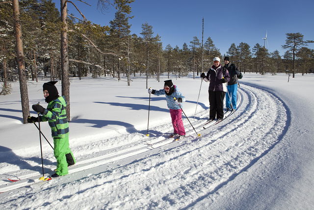 Sörskog skidspår