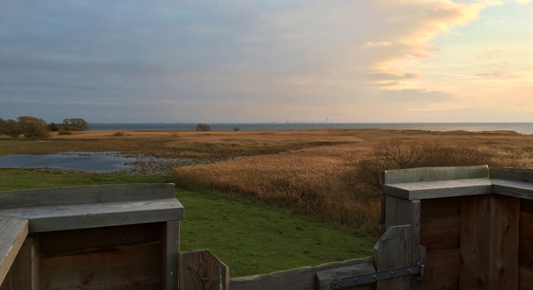 Vy från fågeltornet.