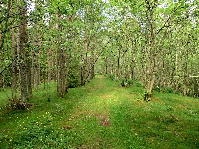 The Huvududdsleden hiking trail, Huvududden
