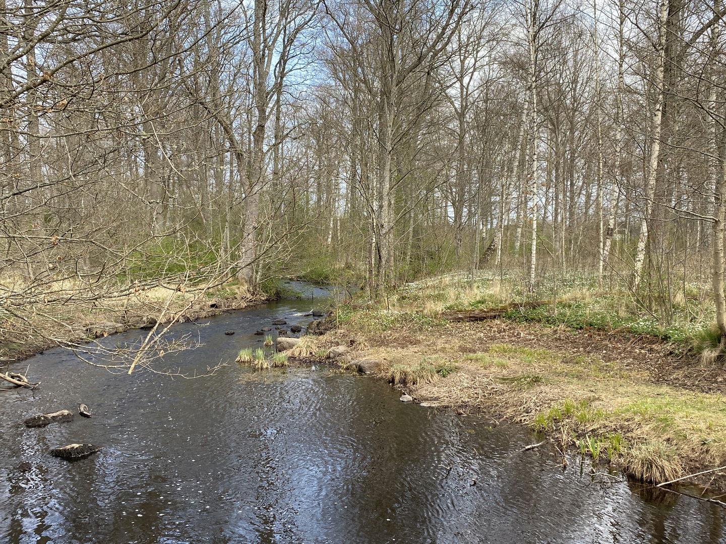 Utsikt från vindskydd
