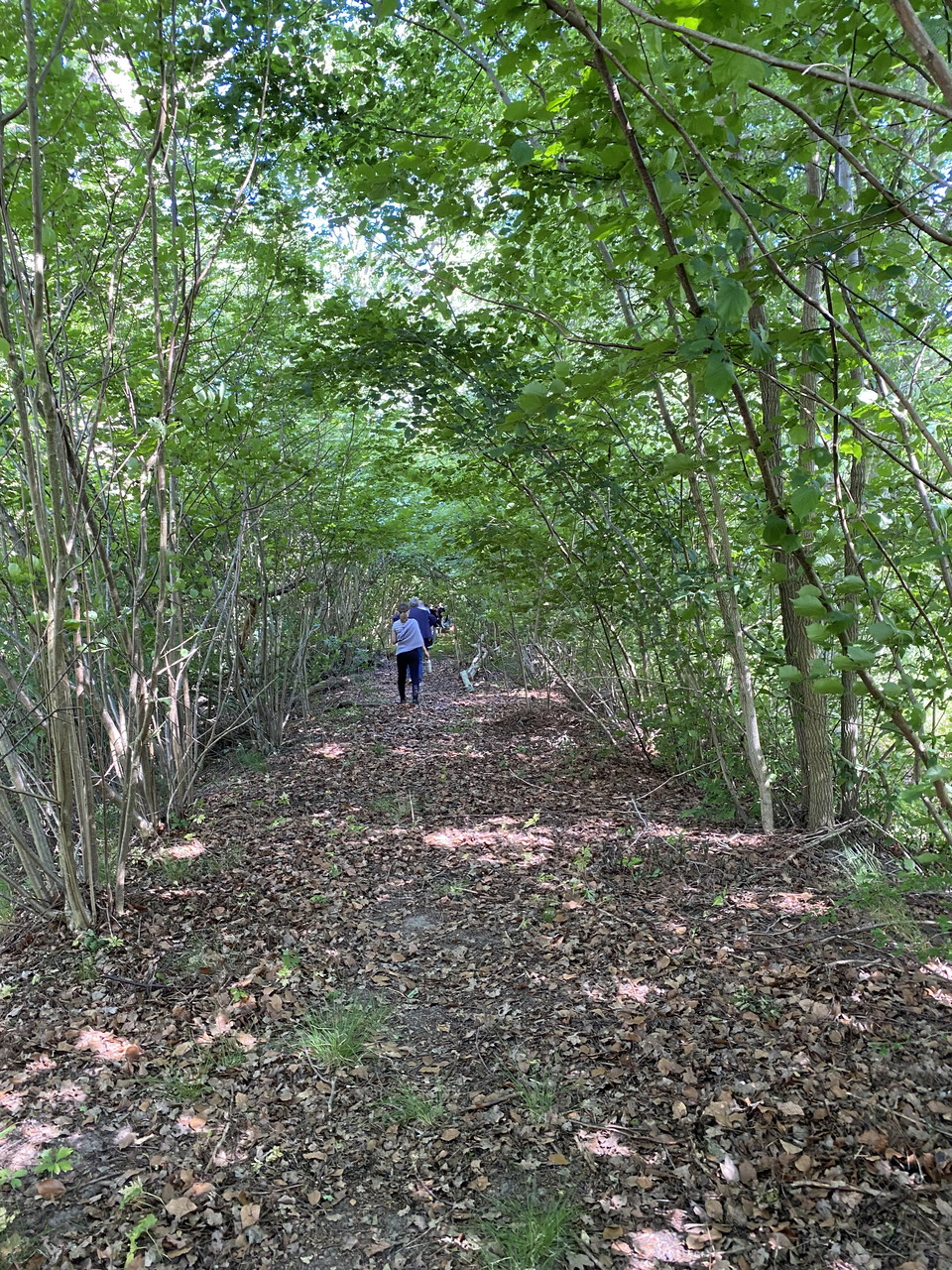 Gamla landsvägen, gul led