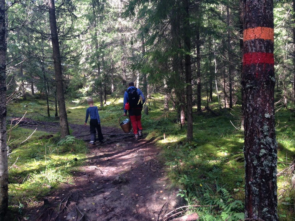 En vuxen och ett barn vandrar på en ojämn stig genom tät skog. Den vuxne har ryggsäck på ryggen och en korg i ena handen.