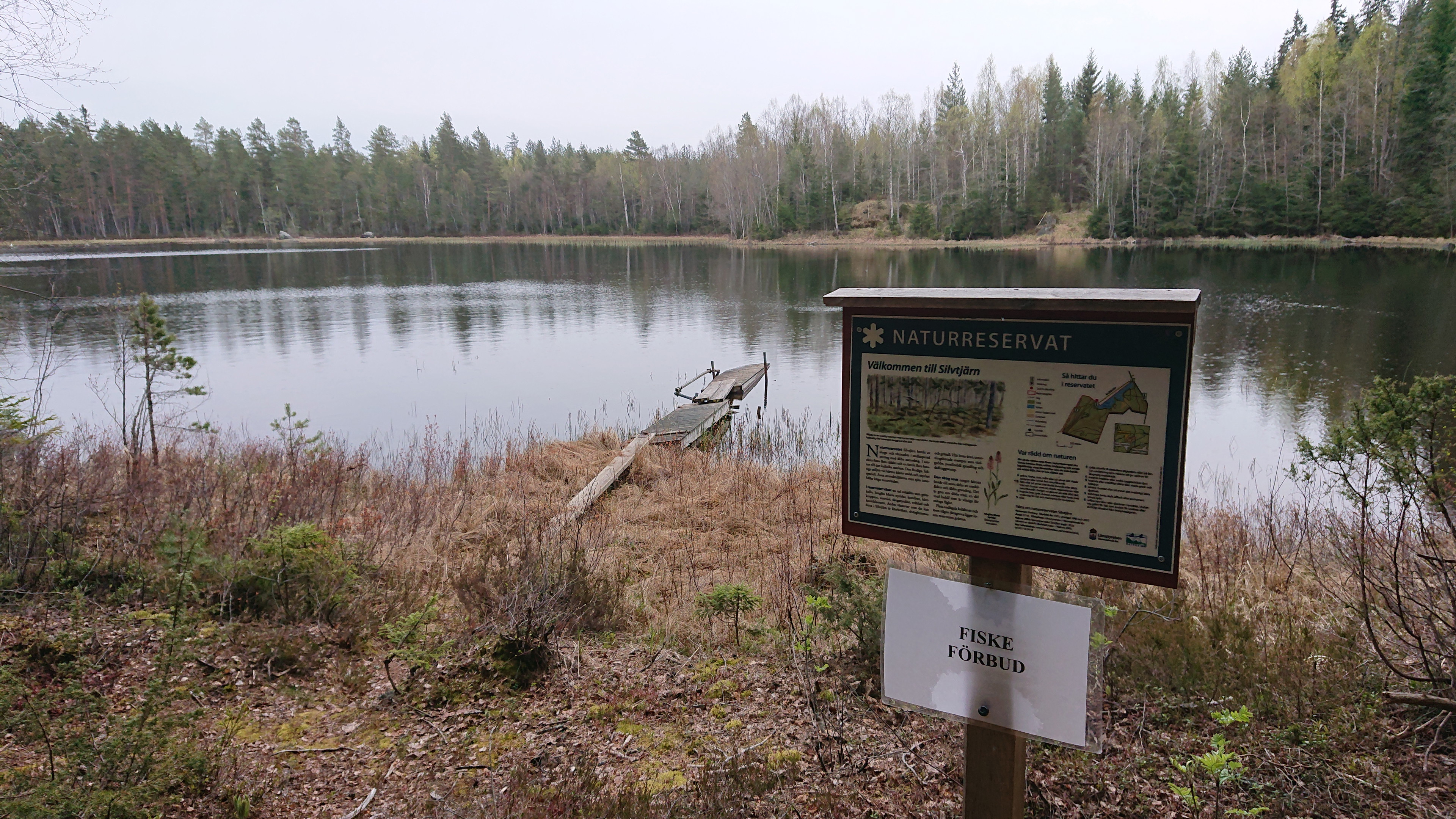 Naturreservatet - Silvtjärn