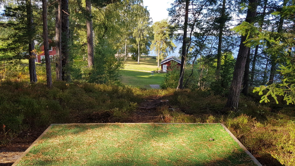Bosöns discgolfbana. Foto Lidingö stad