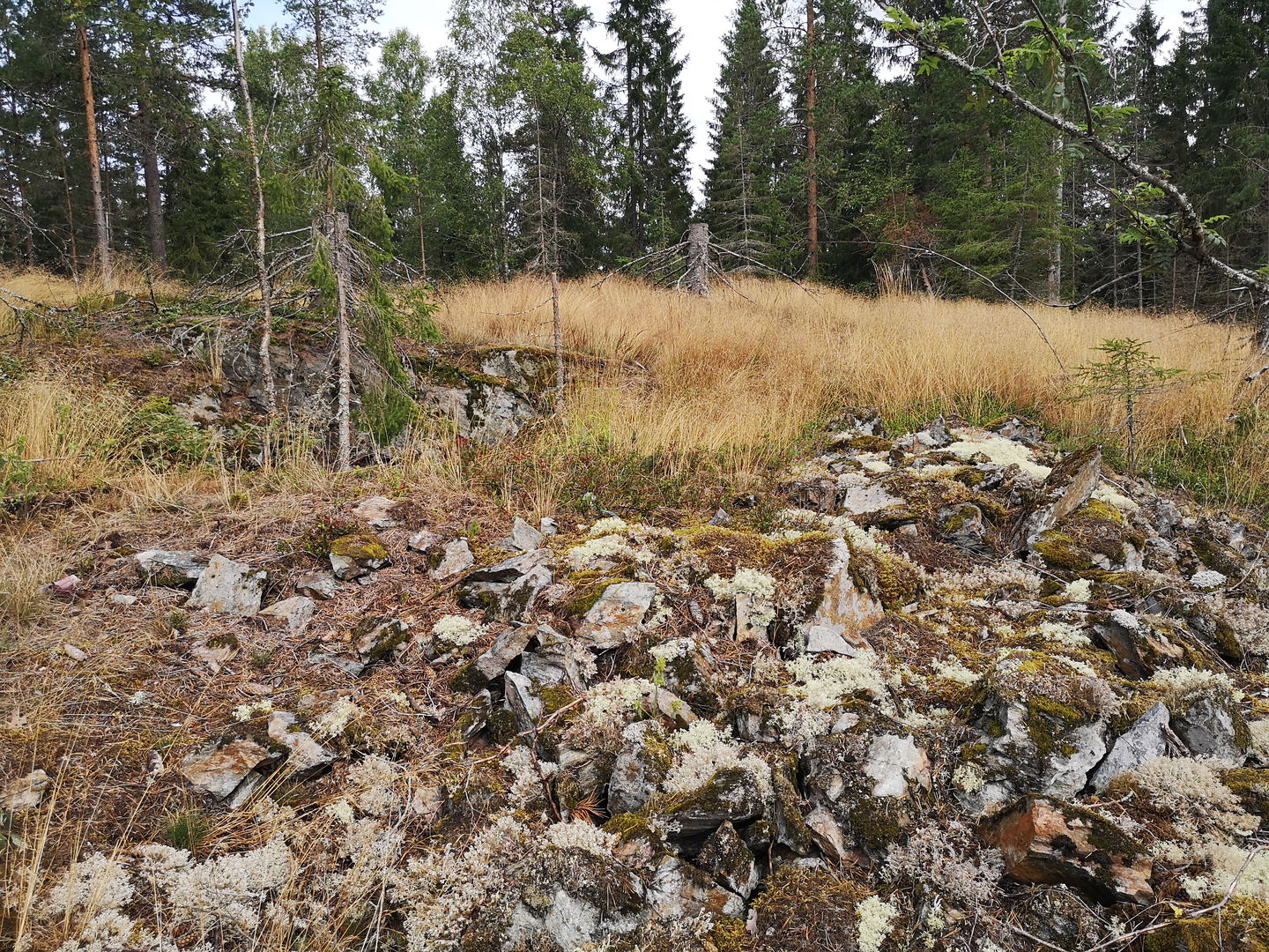 Skrotsten Löfmarken