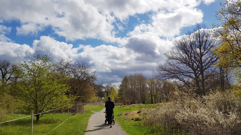 Elfviksleden vid Hustegaholm. Foto Lidingö stad