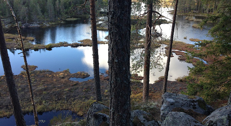 Utsikt över Holmtjärnen. 