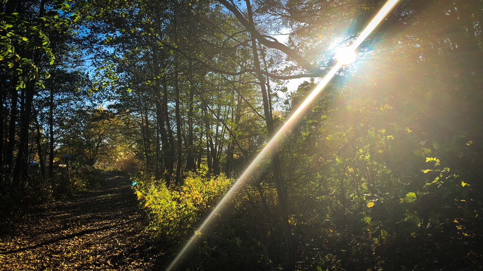 Motljus av solen vid ett motionsspår.