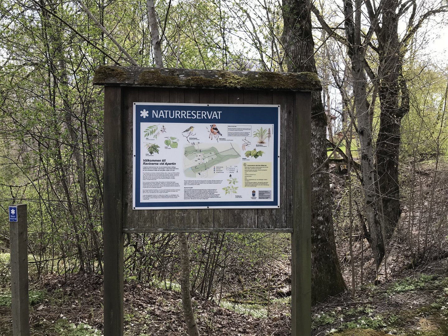 Informationstavla i skog med information om reservatet.
