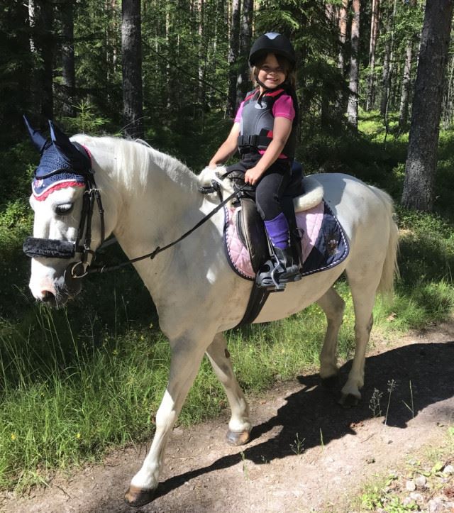 Gävle camping Engesberg