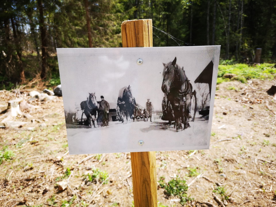 Bilder över livet i Löfmarken