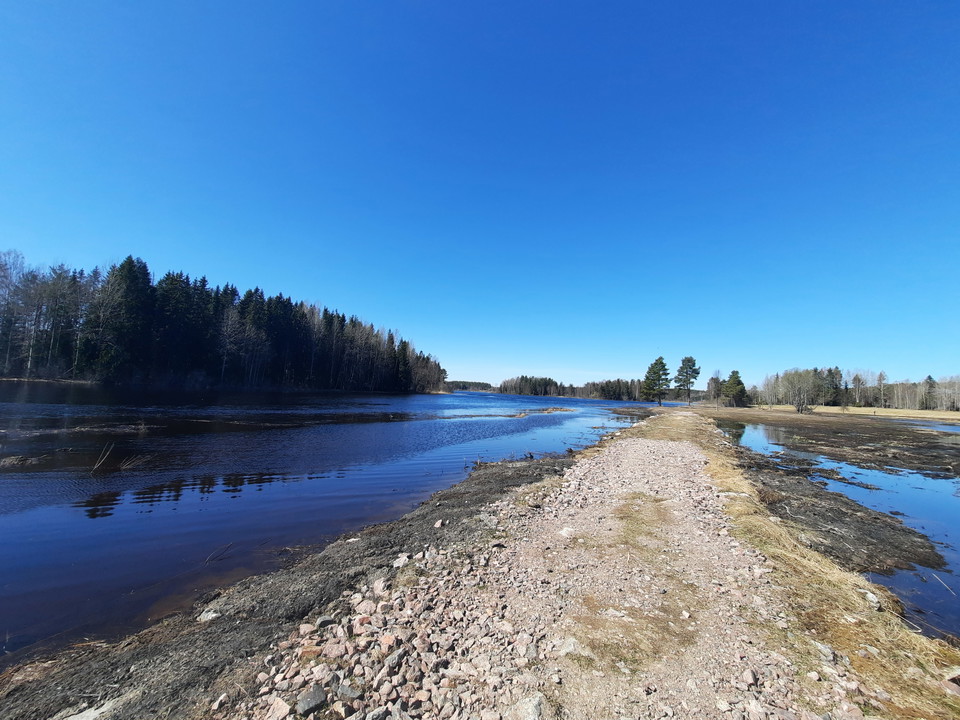 Vägen/stigen genom våtmarken har rustats upp de senaste åren