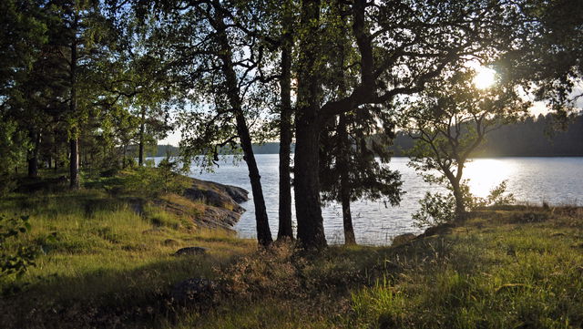 Naturhamn, Apelviksudd