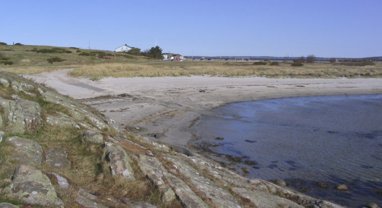 hav som möter land vid strandkanten