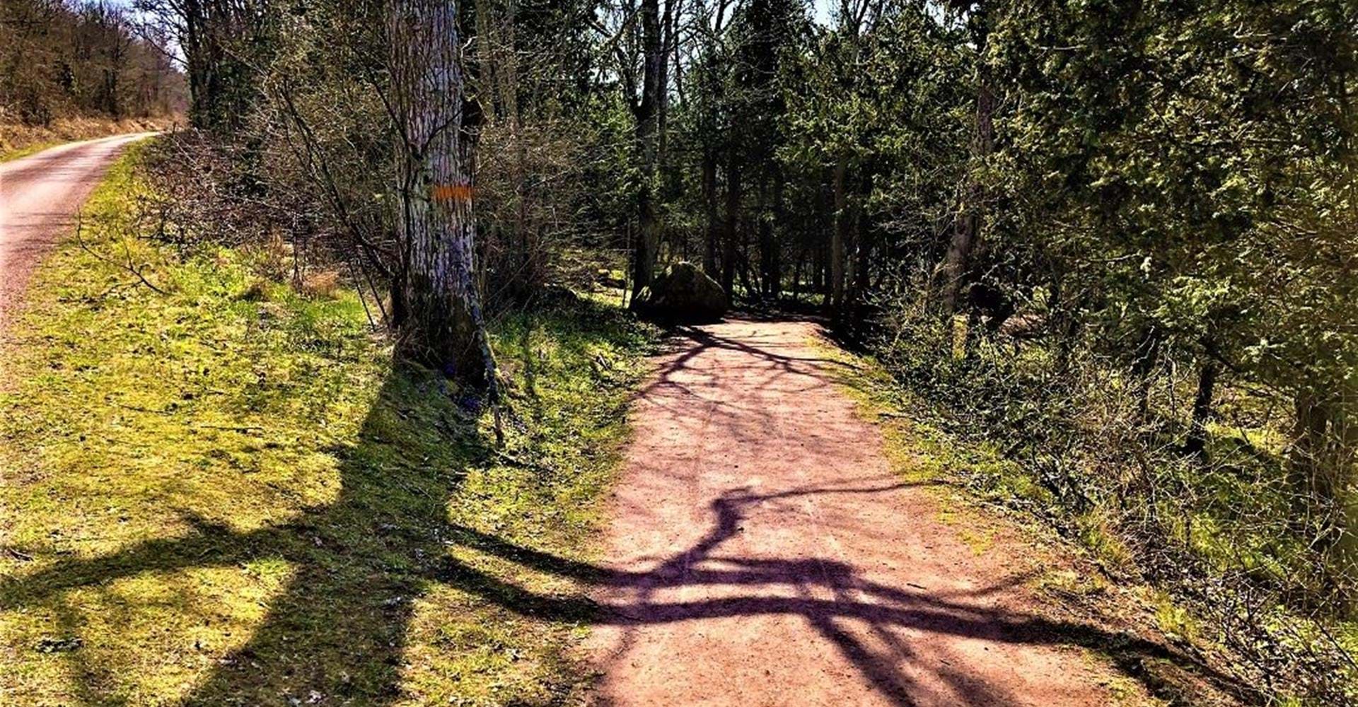 Rullstolsramp till utsiktsplatsen Västra Väggar 
Etapp: Omberg runt, Signaturleden
Ödeshög