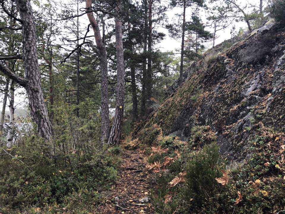Stigen tar dig genom kuperad terräng i reservatets södra delar.