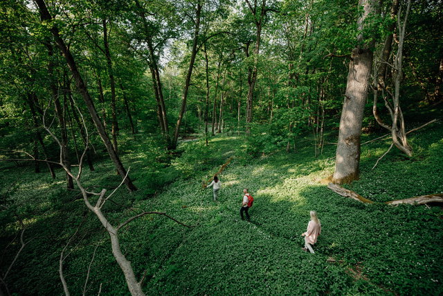 Munkängarna, Naturreservat